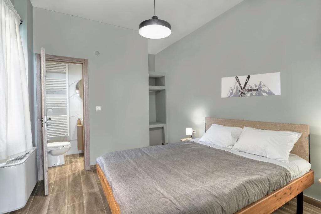 Arachova's Experience S3 Apartment *